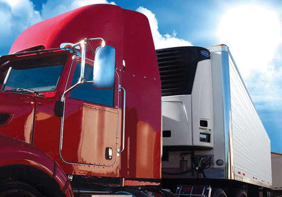 Insight Global Logistics - Truck Refrigrator
